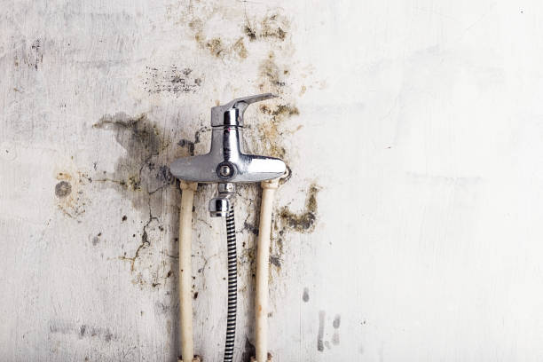 Mold Testing and Removal in Anson, TX