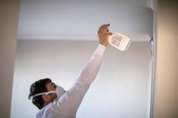 Best Mold Testing  in Anson, TX