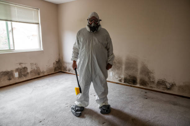 Best Office Mold Removal Services  in Anson, TX
